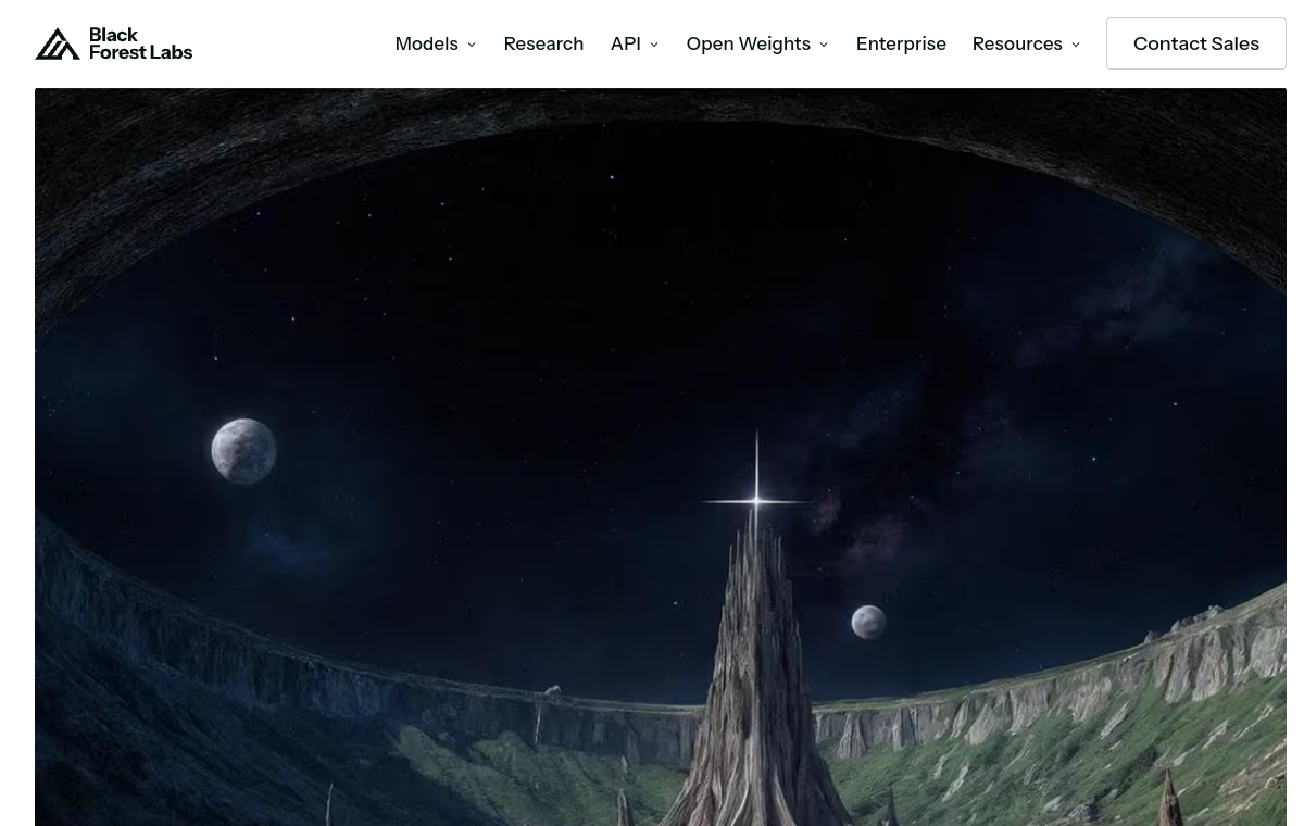 Screenshot of Black Forest Labs (FLUX)